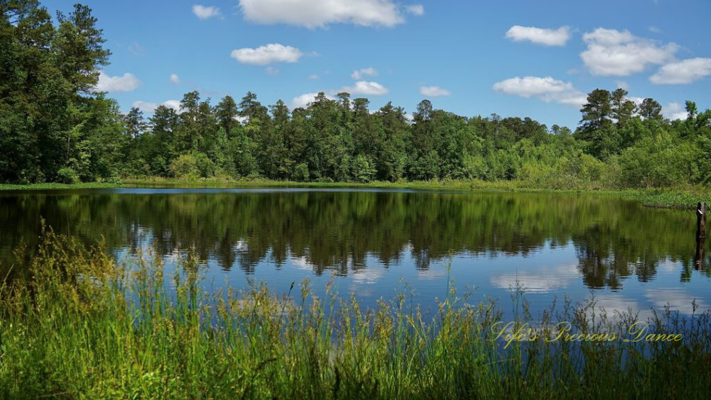 Landscape view of a pond at Barnwell State Park, Clouds, trees and blue sky reflecting in the water.