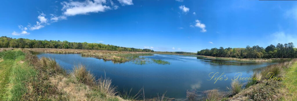 Panoramic landscape view of a pond and marsh at Donnelly Wildlife Mgmt Area. A few passing clouds overhead.