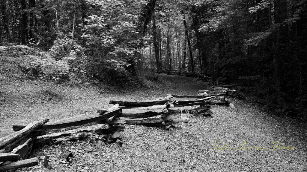 Black and white of a wooden fence along a trail at Oconee Station State Historic Site.