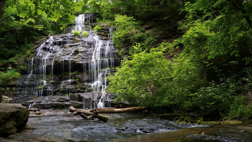 Station Cove Falls spilling down the moss covered rock face into a stream below. Downed trees in the foreground.