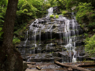 Station Cove Falls spilling down the moss covered rock face into a stream below. Downed trees in the foreground.