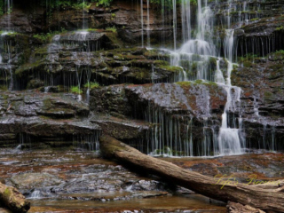 Station Cove Falls spilling down the moss covered rock face into a stream below. Downed trees in the foreground.