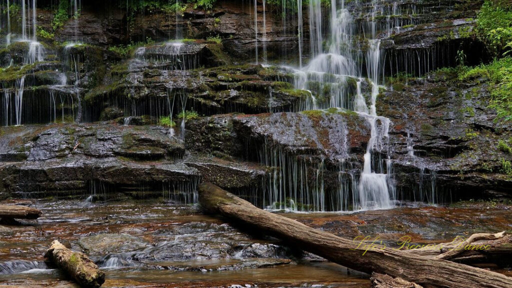 Station Cove Falls spilling down the moss covered rock face into a stream below. Downed trees in the foreground.