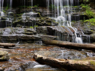 Close up of Station Cove Falls spilling over the rocks. Downed trees in the foreground.