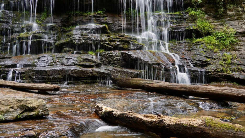 Close up of Station Cove Falls spilling over the rocks. Downed trees in the foreground.