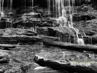 Black and white close up of Station Cove Falls spilling over the rocks. Downed trees in the foreground.
