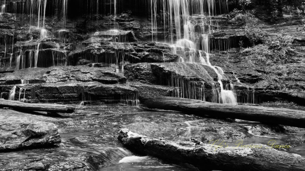 Black and white close up of Station Cove Falls spilling over the rocks. Downed trees in the foreground.