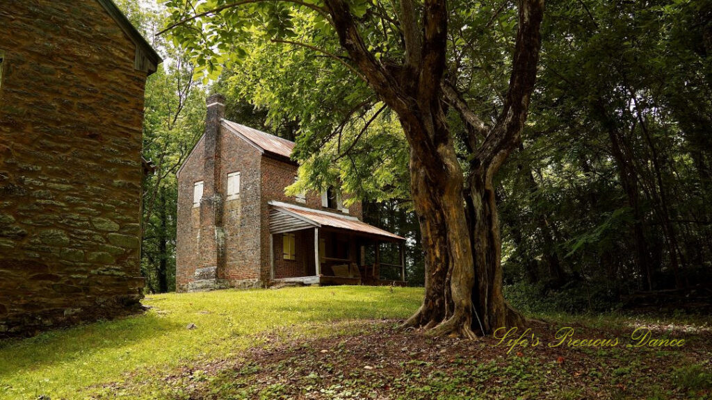 Front view of the WIlliam Richards House at Oconee Station. A gnarly tree stands in the foreground.