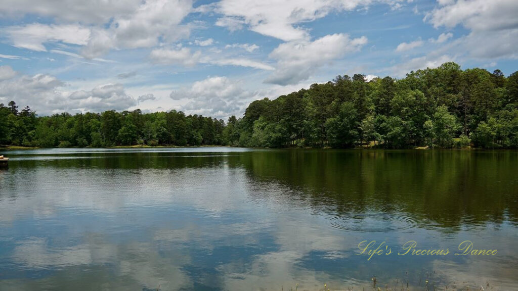 Landscape view of one of the lakes at Oconee State Park. Fluffy clouds overhead, reflecting on the surface of the water.