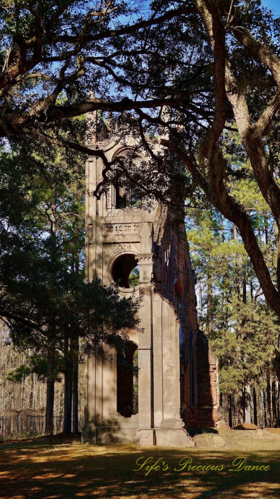 The chapel of the Prince Frederick Church RUins. Surrounded by pine trees.