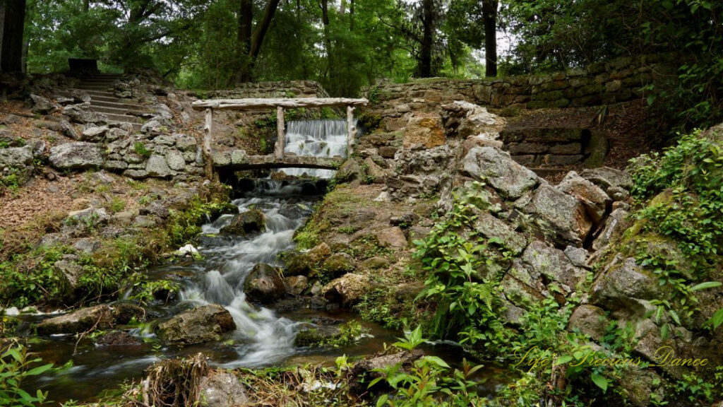 The mini-waterfall spilling through the rocks at Poinsett State Park, surrounded by the old mill remnants. A small stone bridge crosses over the water.