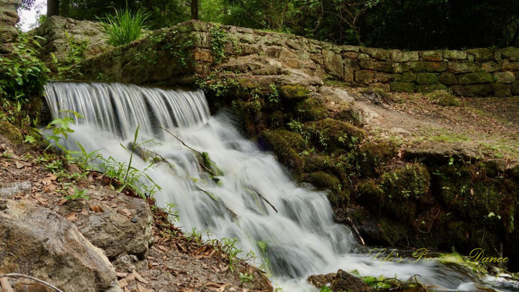 Close up of the spillway/mini-waterfall at Poinsett State Park.