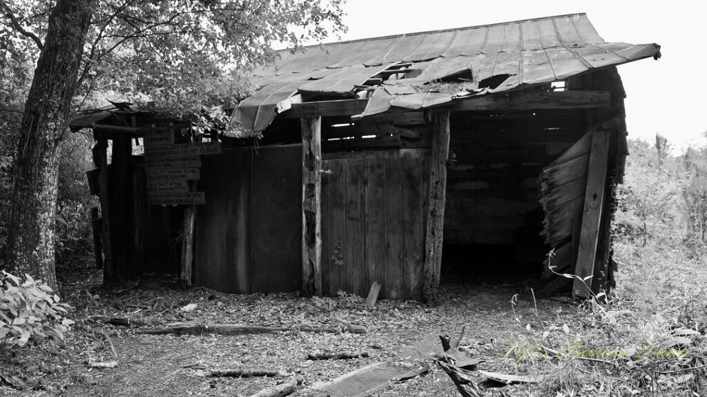 Black and white of the old Skinner shed at Poinsett State Park,