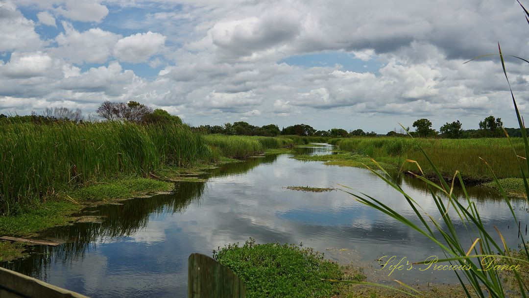 Landscape view of a canal separating rice fields at Caw Caw Interpretive Center. Passing clouds overhead reflecting off of the water.