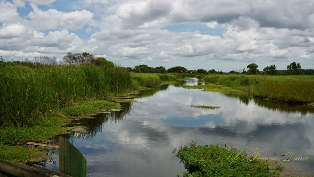 Landscape view of a canal separating rice fields at Caw Caw Interpretive Center. Passing clouds overhead reflecting off of the water.