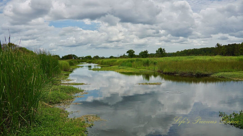 Landscape view of a canal separating rice fields at Caw Caw Interpretive Center. Passing clouds overhead reflecting off of the water.