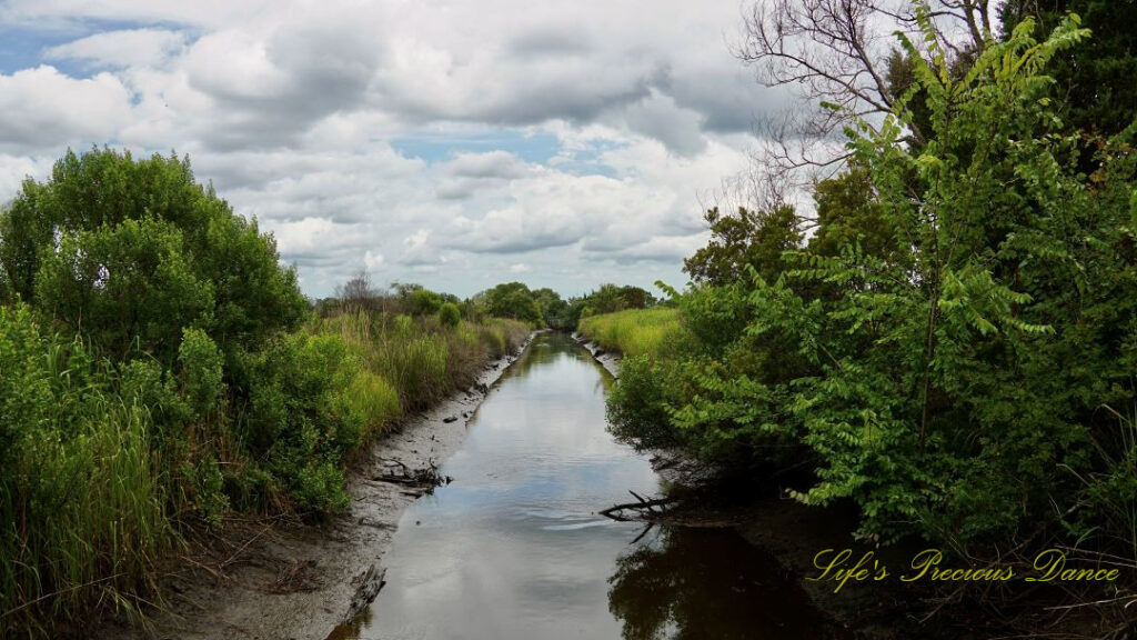 Landscape view of a canal separating rice fields at Caw Caw Interpretive Center. Passing clouds overhead reflecting off of the water.