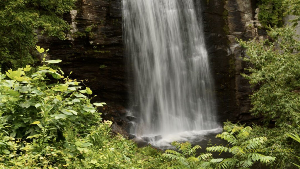 The base of Looking Glass Falls pouring into the creek.