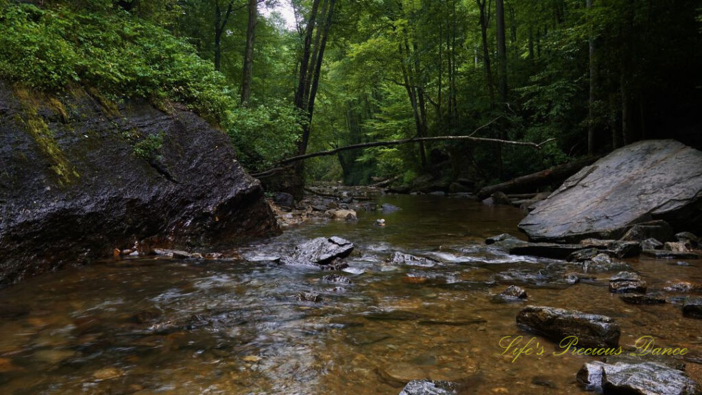 Looking Glass Creek flowing through rocks away from the falls.