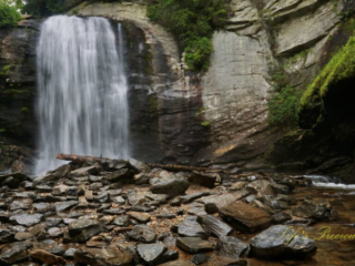 Looking Glass Falls spilling into the awaiting creek below. Scattered rocks and a downed tree in the foreground.