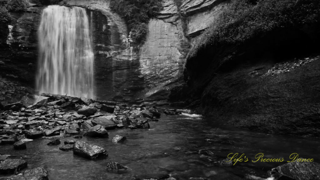 Black and white of Looking Glass Falls spilling into the awaiting creek below. Scattered rocks and a downed tree in the foreground.