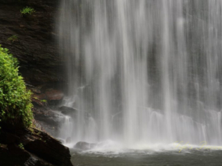 Close up of the base of Looking Glass Falls pouring into a pool of water.