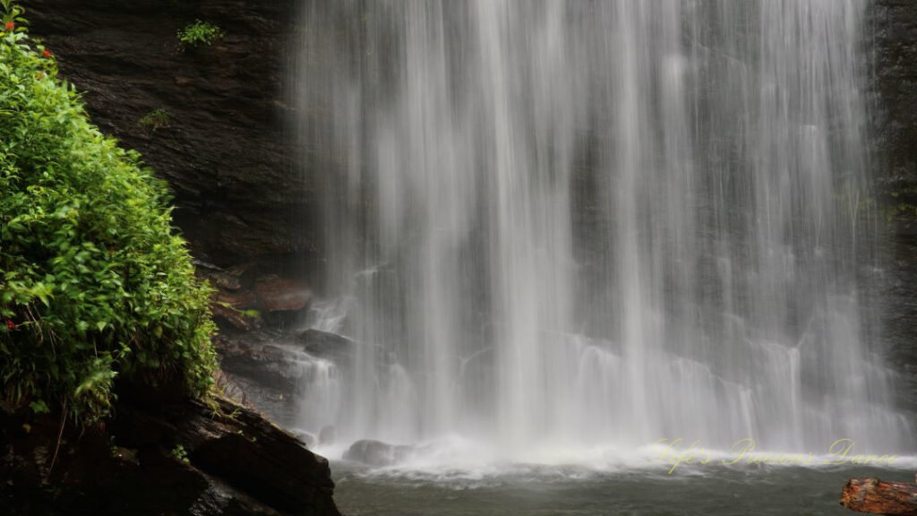 Close up of the base of Looking Glass Falls pouring into a pool of water.