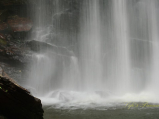 Close up of the base of Looking Glass Falls pouring into a pool of water.