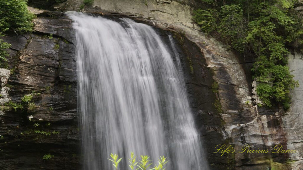 Close up of Looking Glass Falls spilling over the top of a rockface.