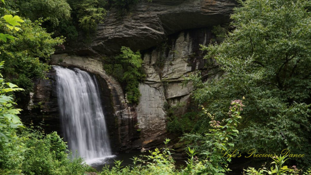 Looking Glass Falls pouring down a rockface into the awaiting mountain stream below.