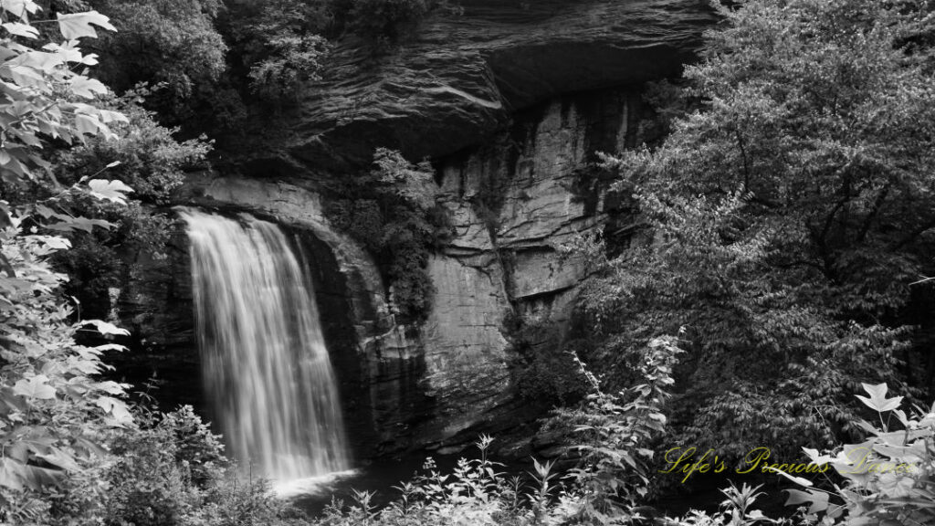 Black and white of Looking Glass Falls pouring down a rockface into the awaiting mountain stream below.