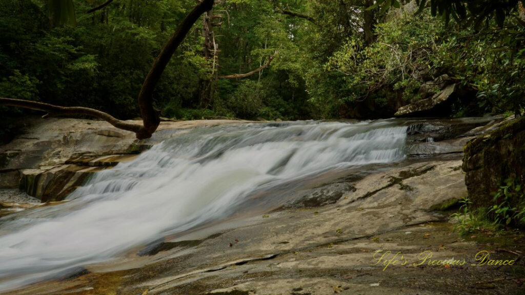 The upper section of Bird Rock Falls rapidly flowing over a rocks. A large limb hangs above.