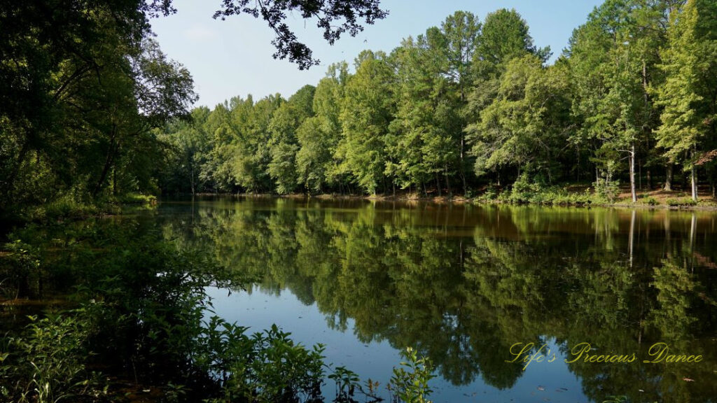 Landscape view of the pond at Musgrove Mill. Trees and blue sky reflecting on the waters surface.