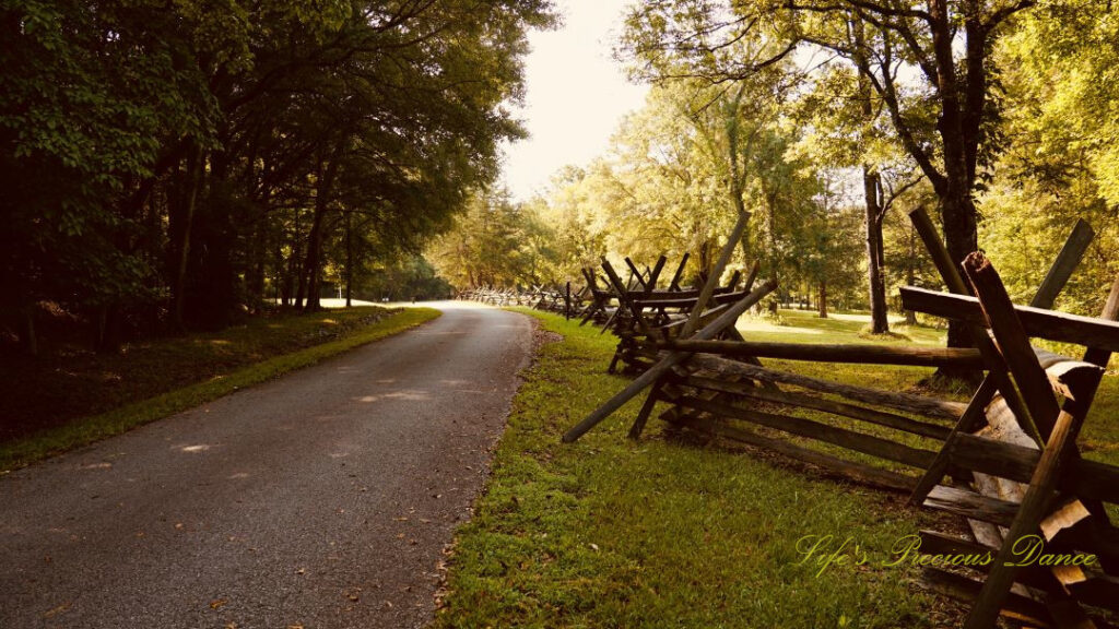 Wooden rail fencing running along a road at Musgrove Mill State Historic Site.