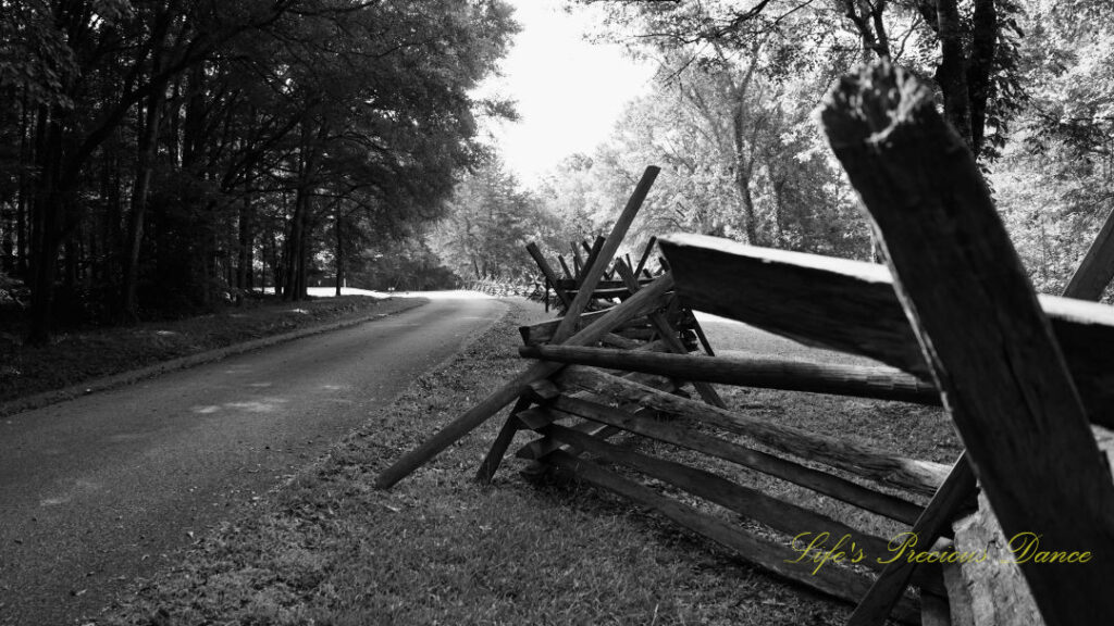 Black and white of the wooden rail fencing running along a road at Musgrove Mill State Historic Site.