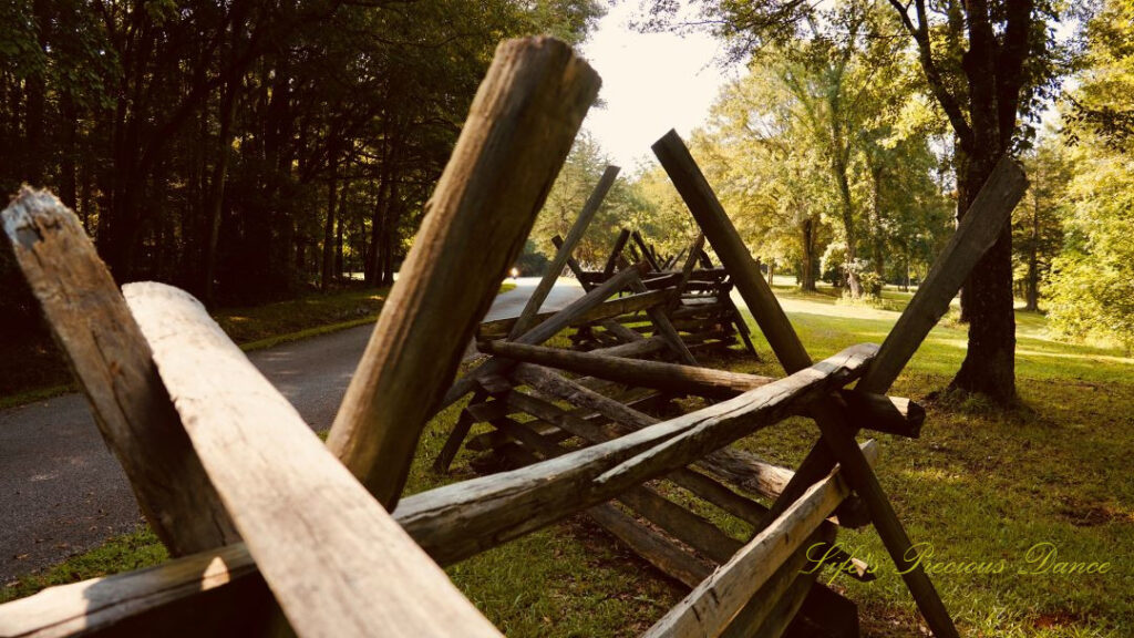 Center view through the wooden rail fencing running along a road at Musgrove Mill State Historic Site.