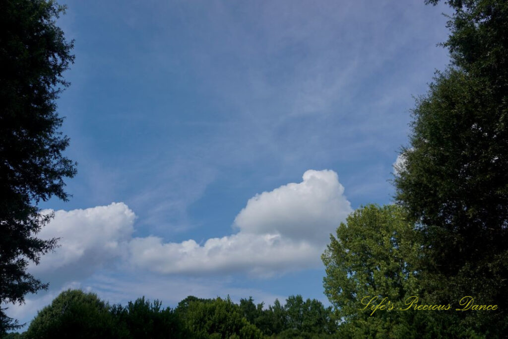 Passing clouds against a blue sky, framed by trees on three sides.