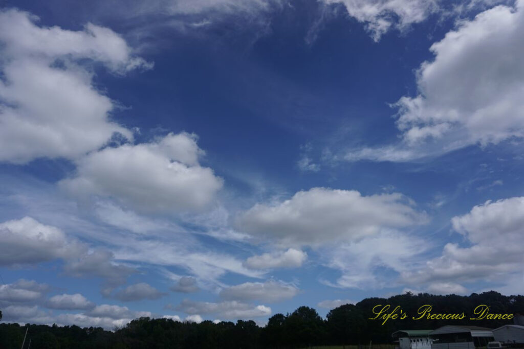 Passing clouds above a field. A line of trees in the background.