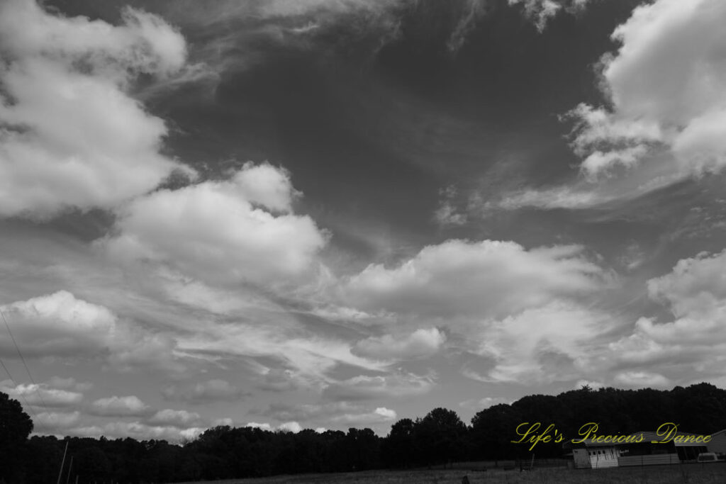 Black and white of passing clouds over a field. LIne of trees in the background.