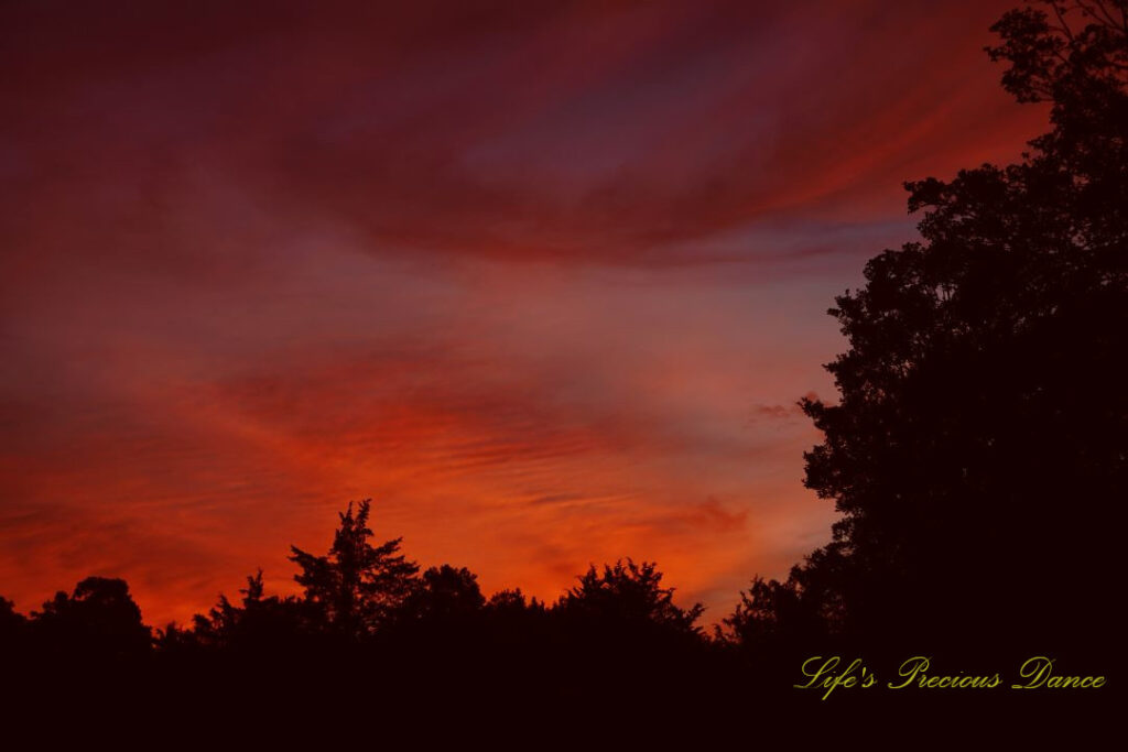 Colorful sunrise. Trees below and to the right.