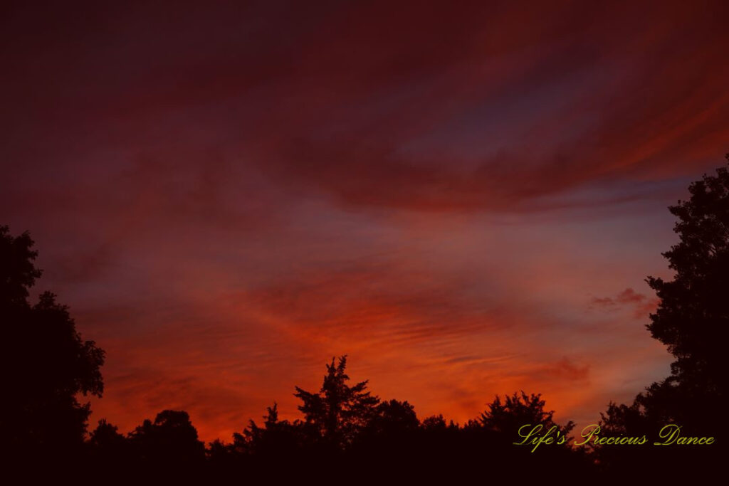 Colorful sunrise over a row of trees.