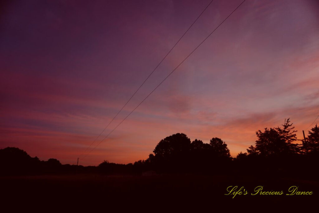 Sunrise over a darkened pasture. Power lines running through the field and a row of trees in the background.