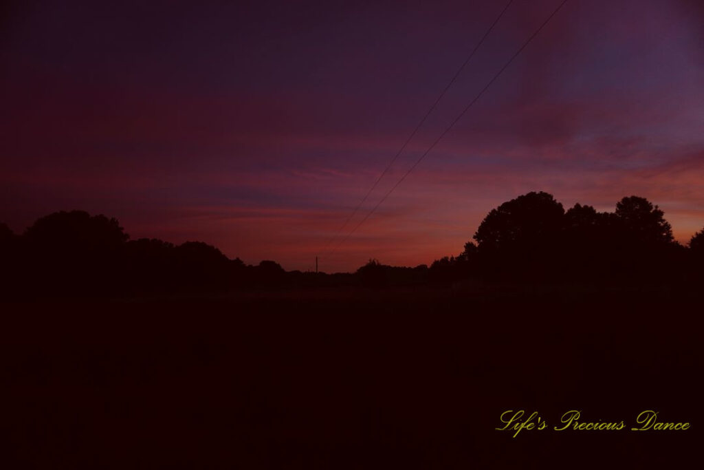 Sunrise over a darkened pasture. Power lines running through the field and a row of trees in the background.