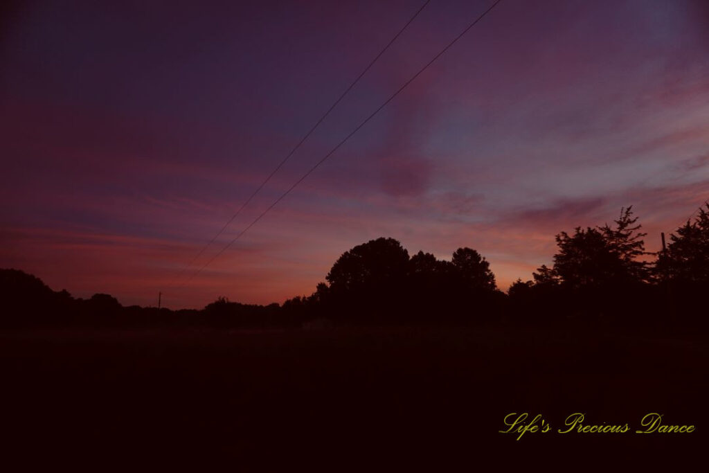 Sunrise over a darkened pasture. Power lines running through the field and a row of trees in the background.