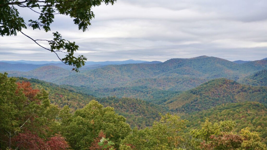 Landscape view of a valley of trees along the Blue Ridge Parkway. Cloudy skies overhead.