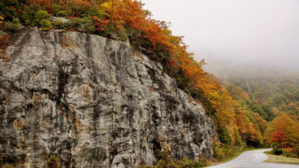 Colorful trees above a rockface on the Blue Ridge Parkway