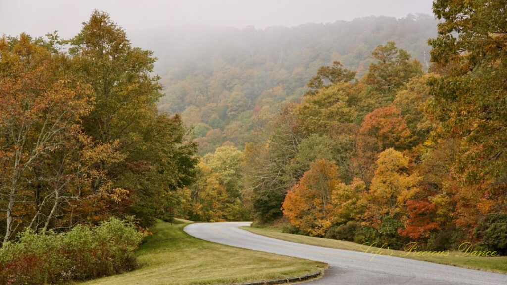 Blue Ridge Parkway winding through colorful trees