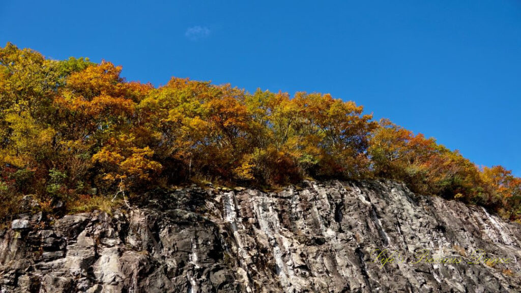 Colorful trees on top of a rockface along the Blue Ridge Parkway