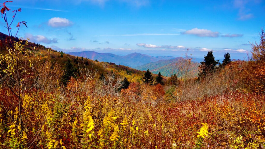 Landscape view from the Sam Knob Summit