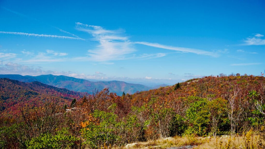 Landscape view from the Sam Knob Summit